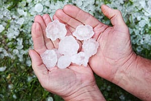 Large hail in a man's hands